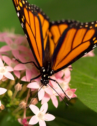 Rest Haven tweet media