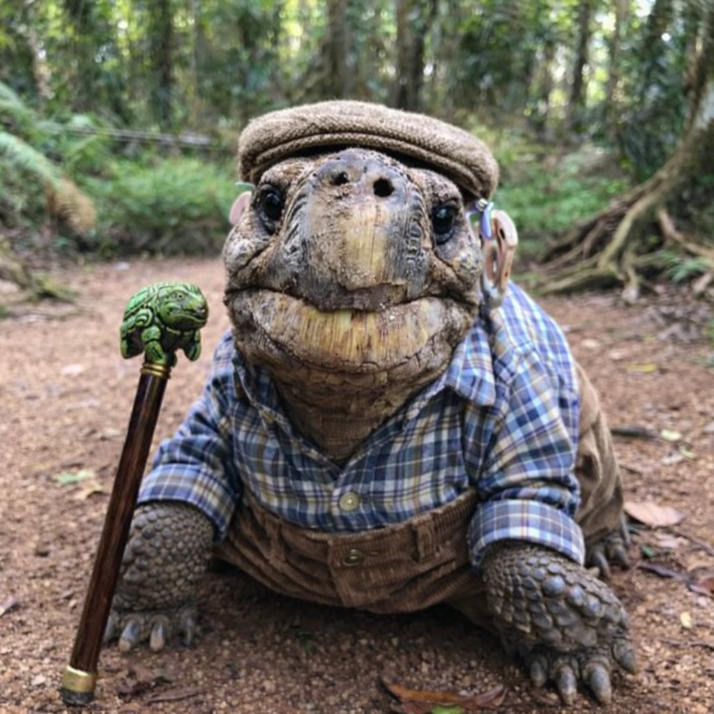 Jonathan The Tortoise (Worlds Oldest Animal) tweet media