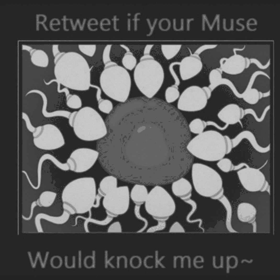 𝐍𝐄𝐖𝐄𝐒𝐓 𝐊𝐍𝐈𝐆𝐇𝐓 tweet media