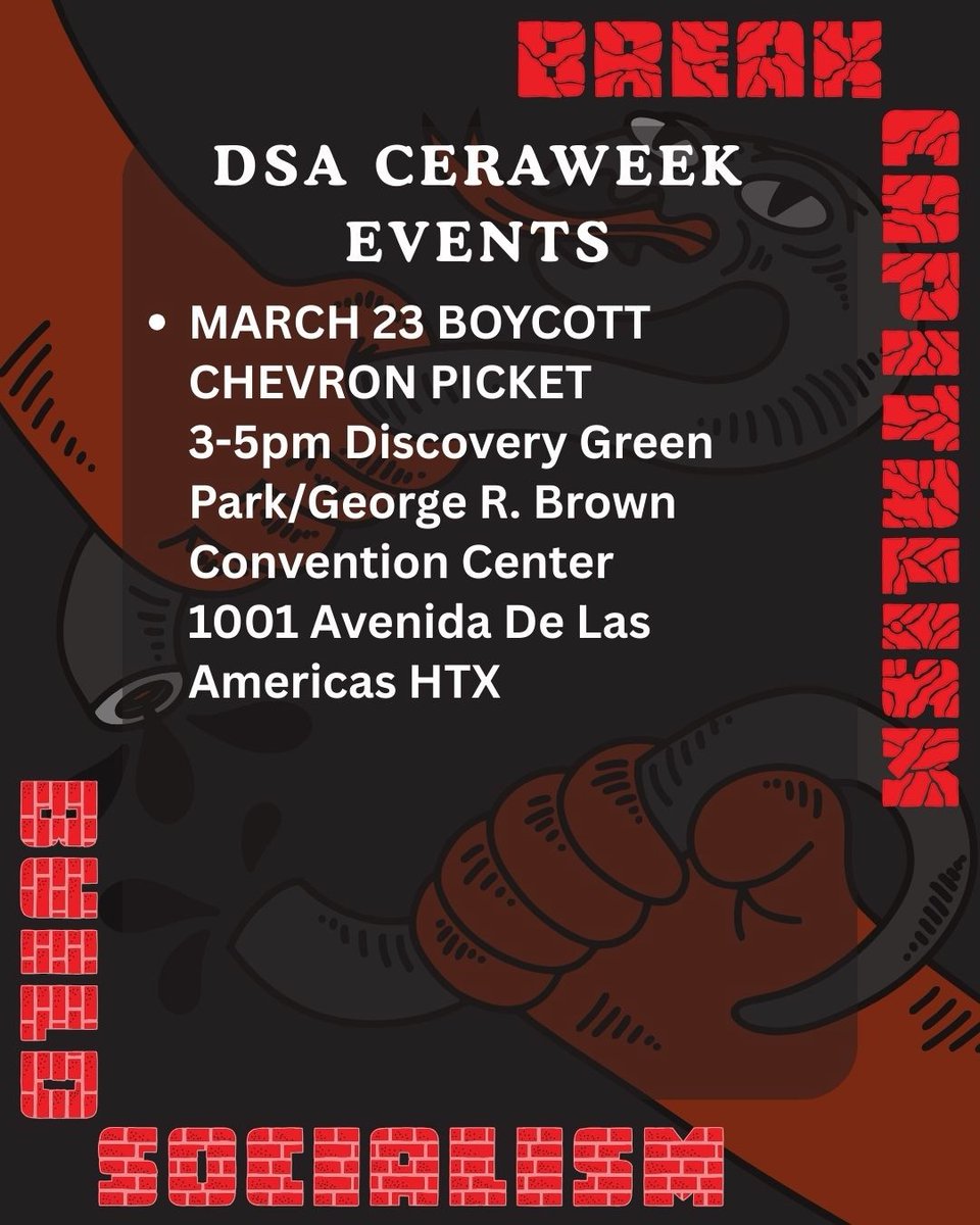 Corpus Christi DSA 🌹 tweet media