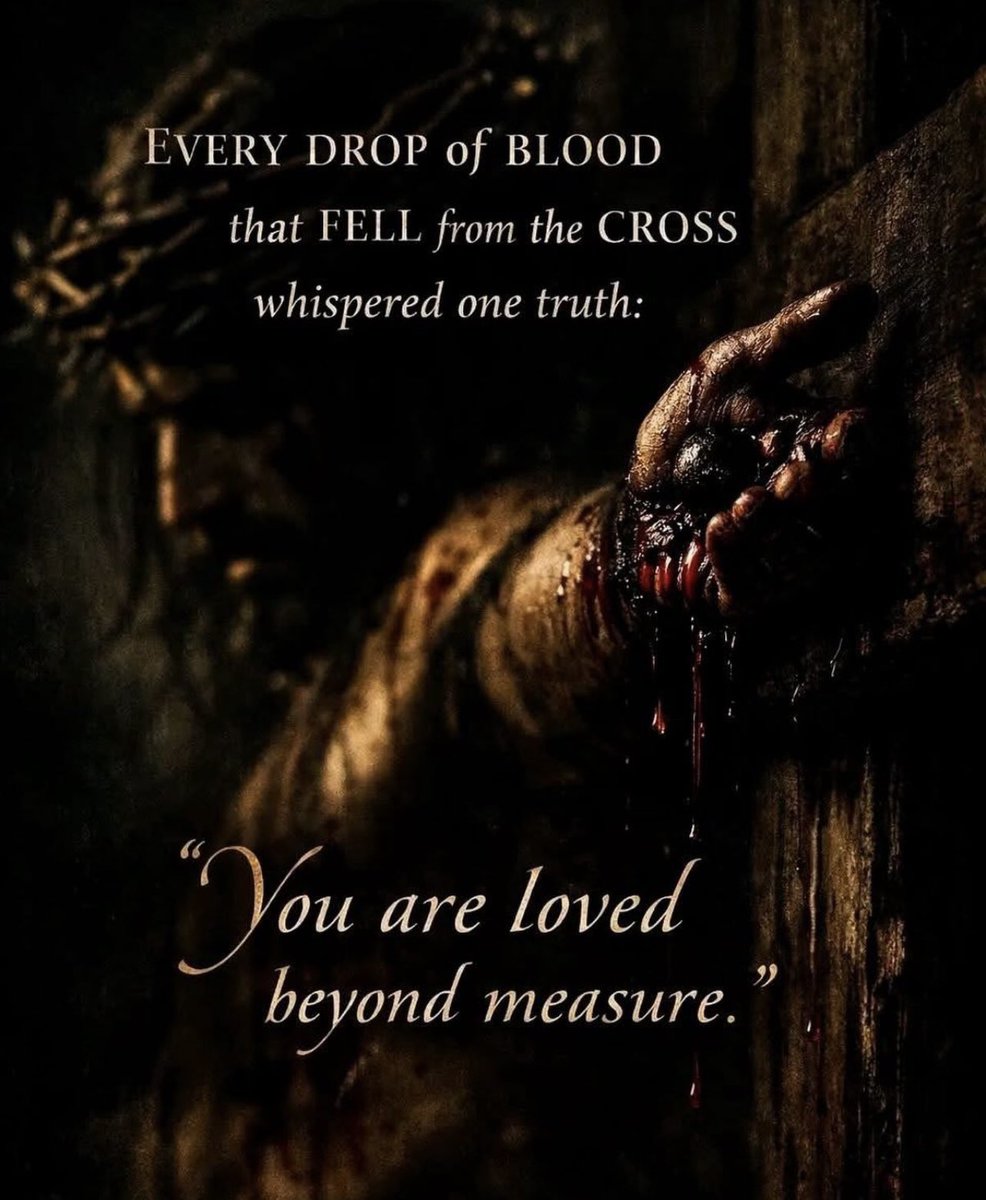 Sandi Maitland tweet media