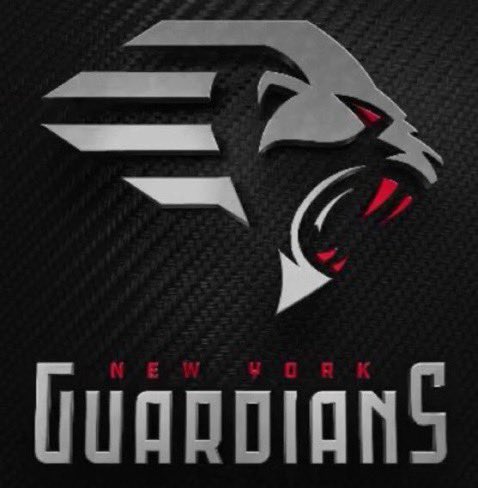 MSGhausen - New York Guardians Diehard tweet media
