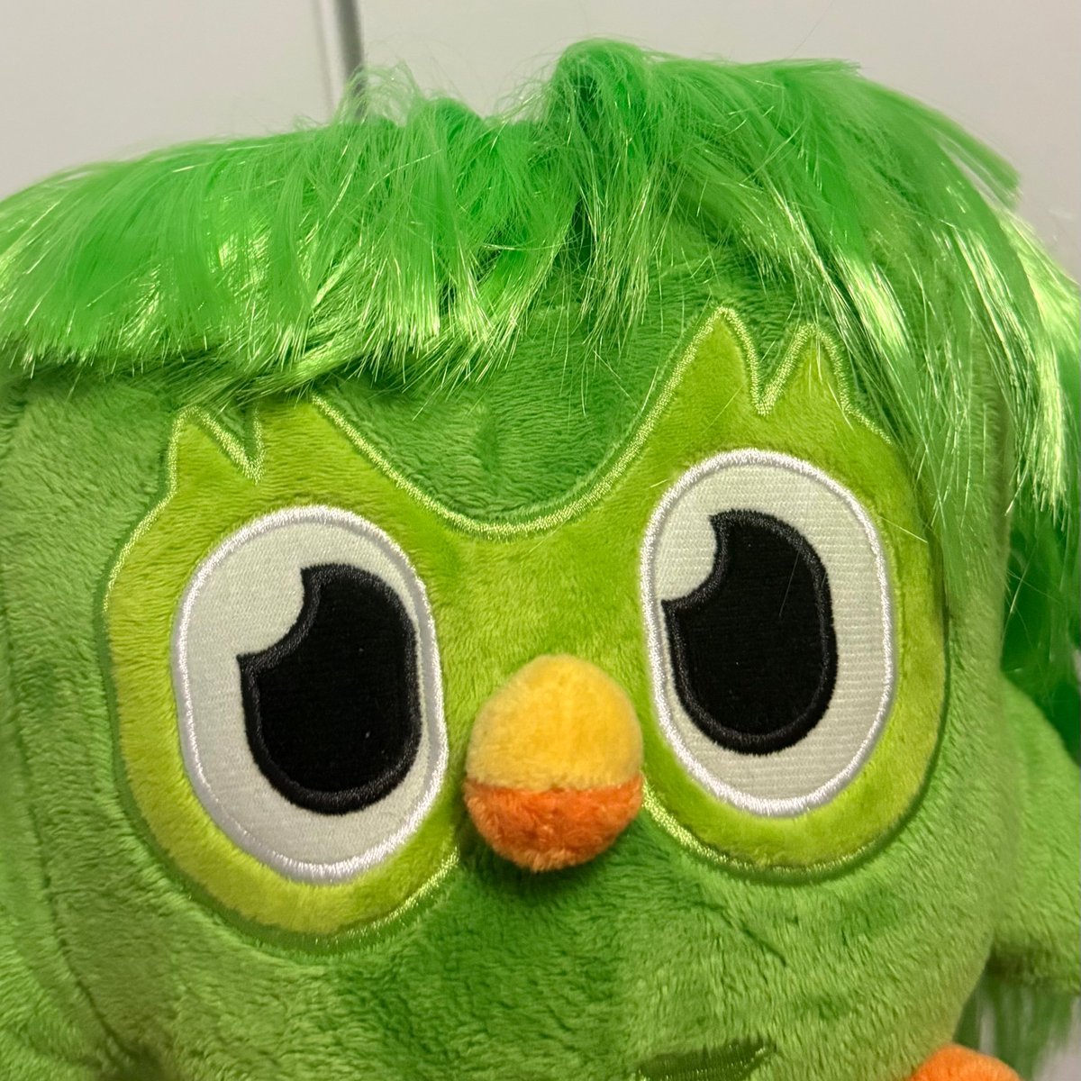 Duolingo Brasil 🇧🇷 tweet media