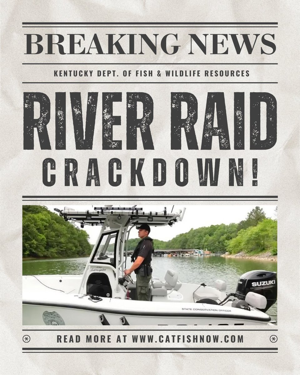 Catfish NOW tweet media