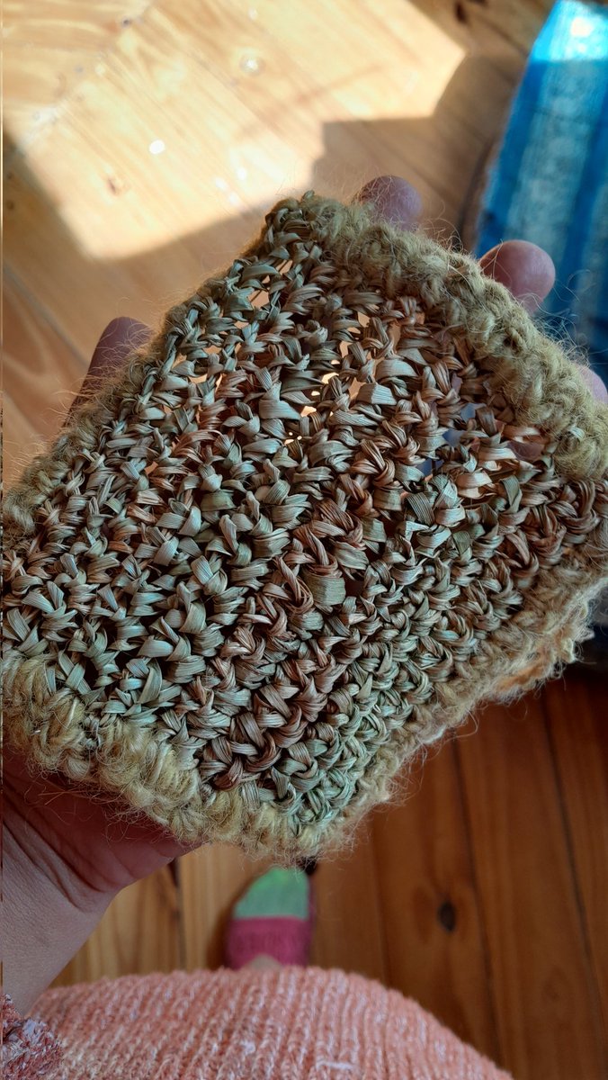 Rocio Mio tweet media