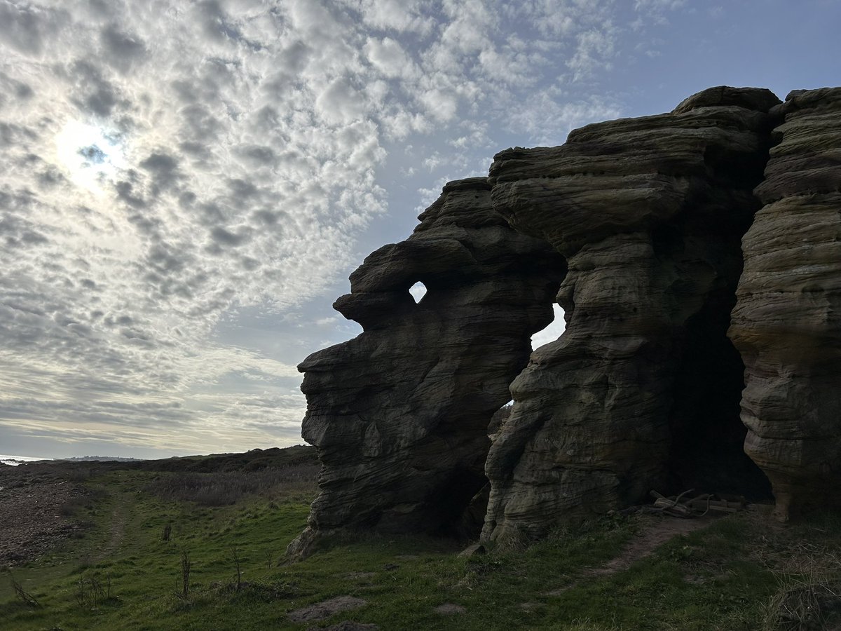 Michael Alexander tweet media