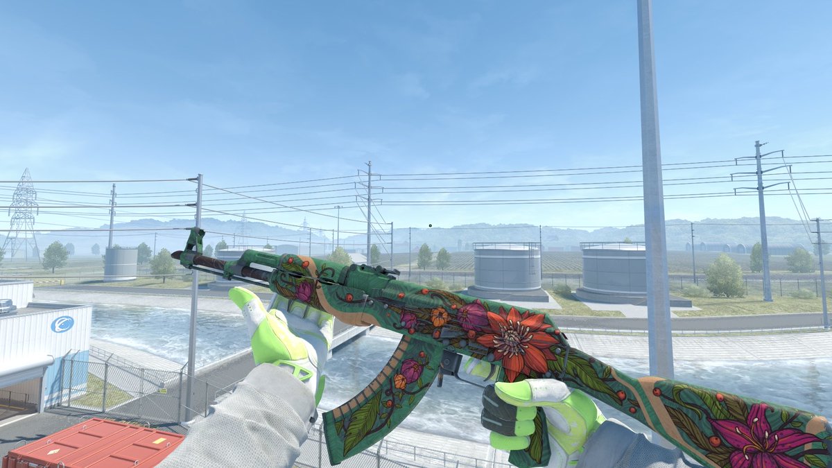 Luana🇵🇹 tweet media