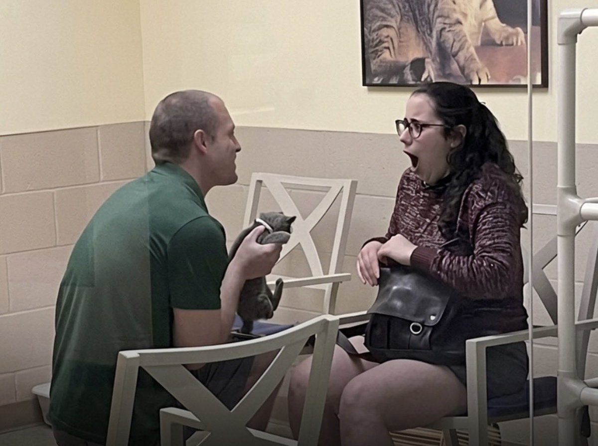 Mediavrai tweet media