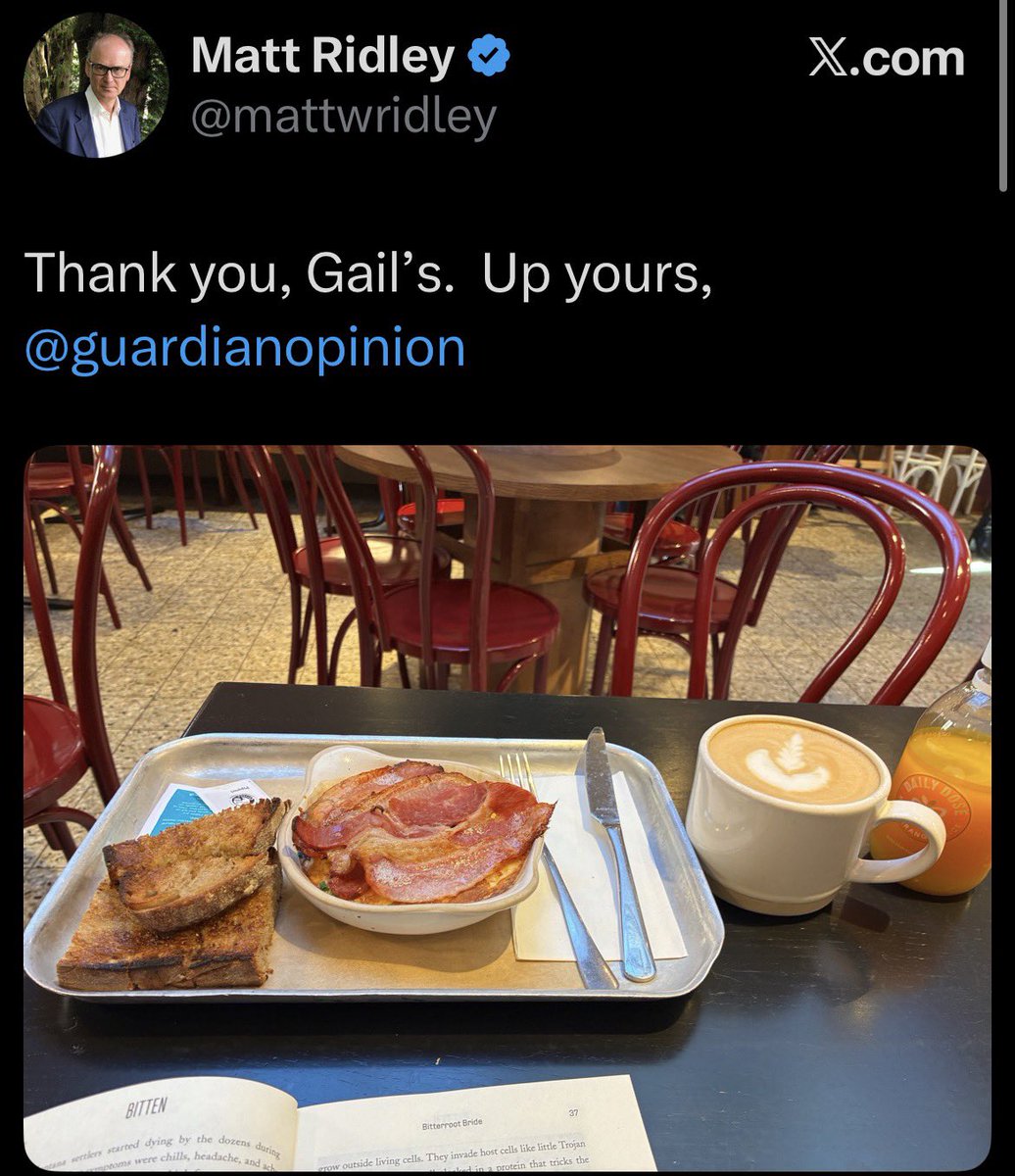 Metal Bizkit Rising tweet media