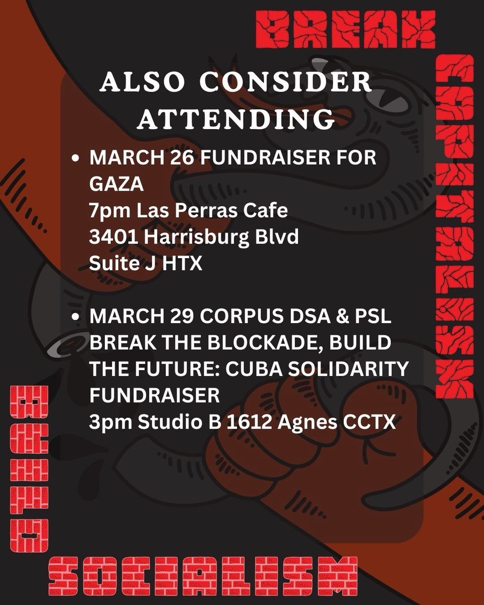 Corpus Christi DSA 🌹 tweet media