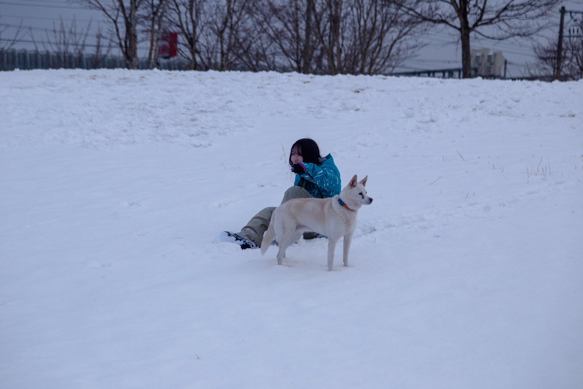 おにころ tweet media