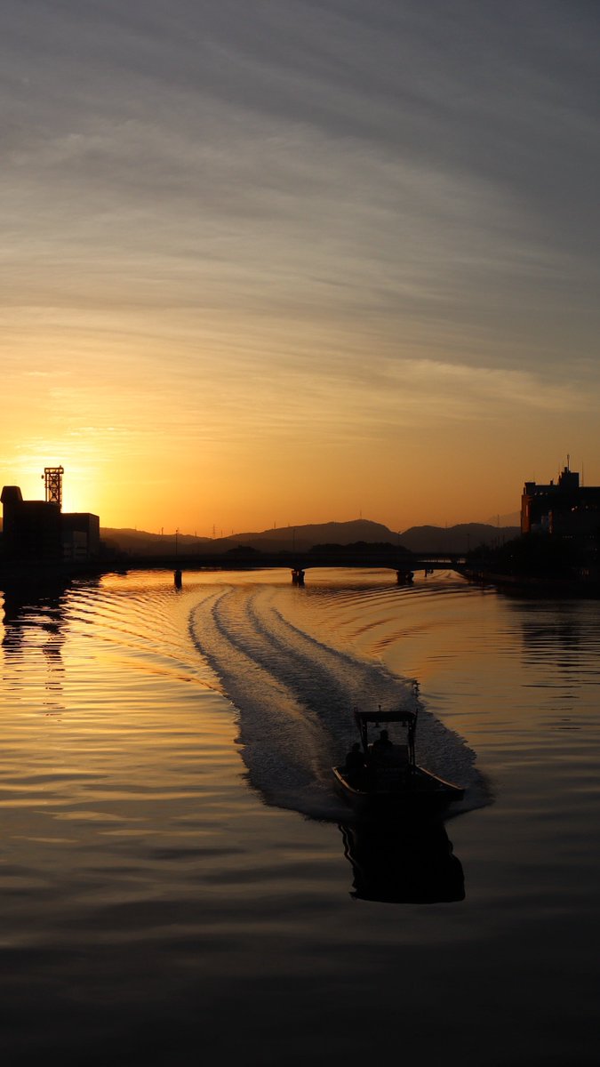 ブルーオメガ【公式】おかげさまで10年目 tweet media