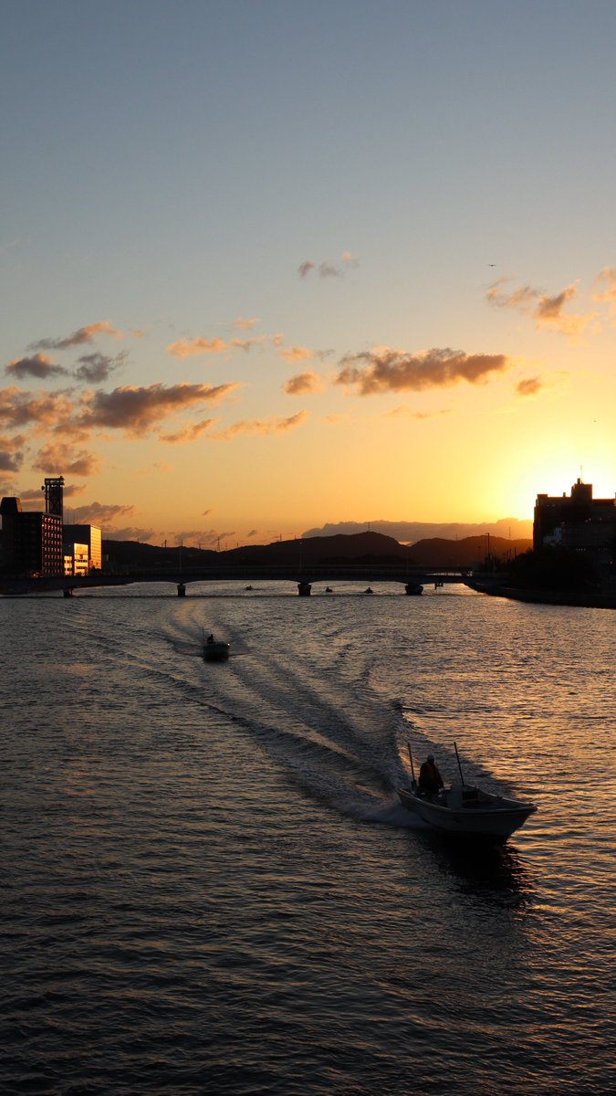 ブルーオメガ【公式】おかげさまで10年目 tweet media