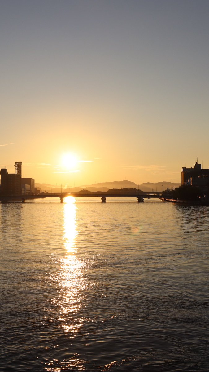 ブルーオメガ【公式】おかげさまで10年目 tweet media