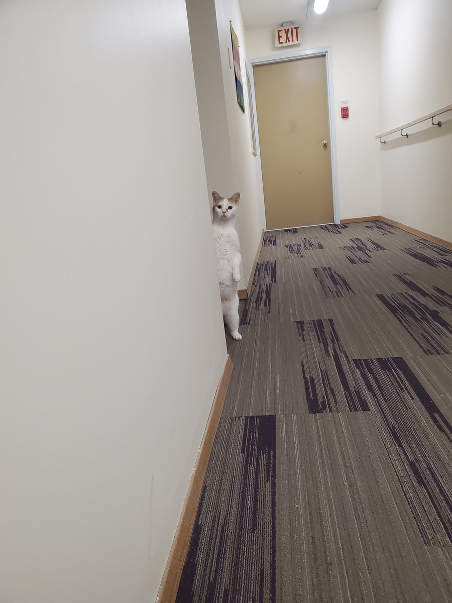 Garbonzo tweet media