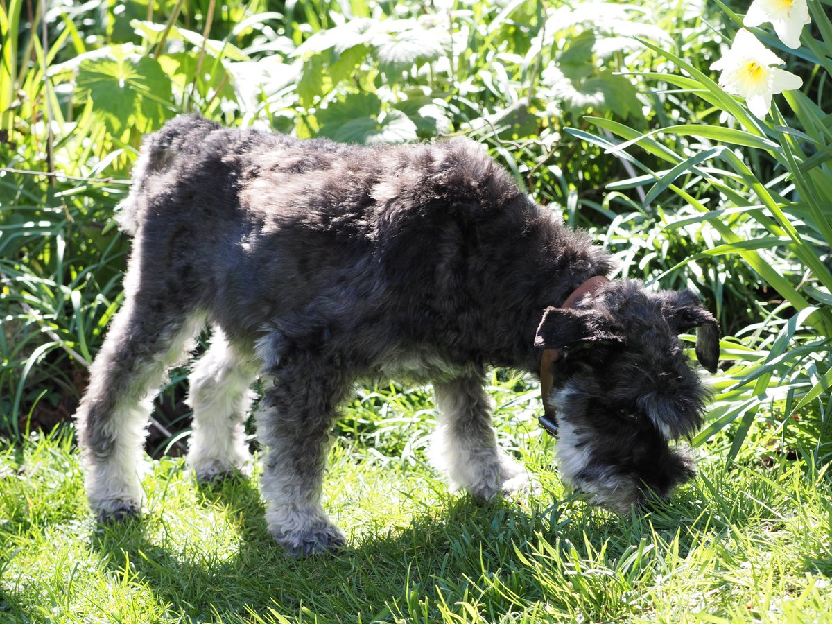 Deena Sharp tweet media