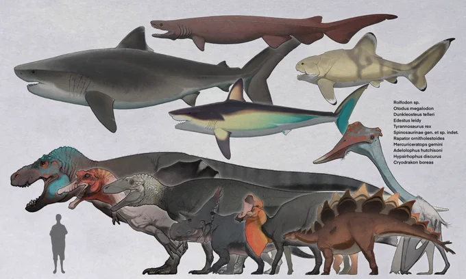 おは古生物!!