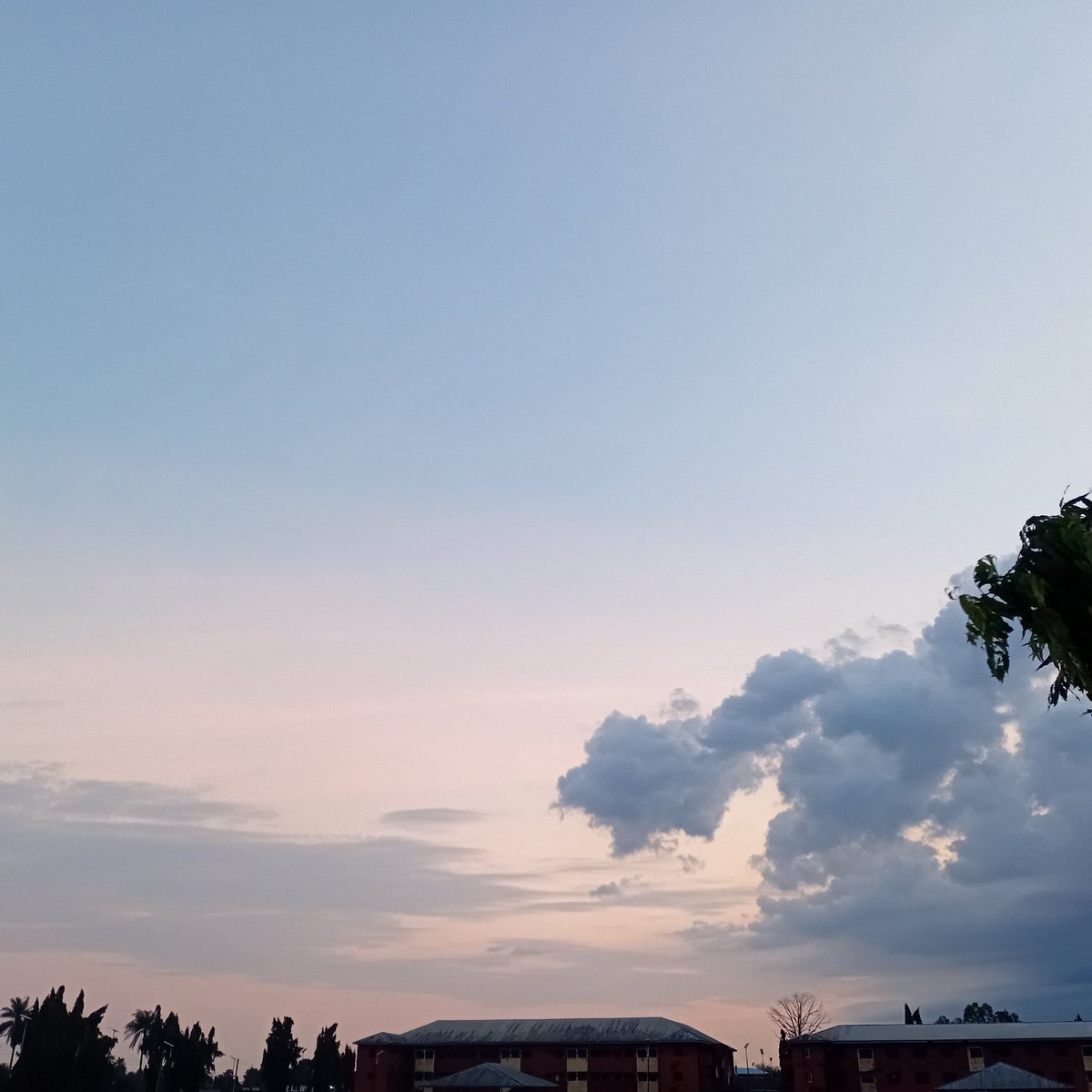 Code_With_Ocpaschal tweet media