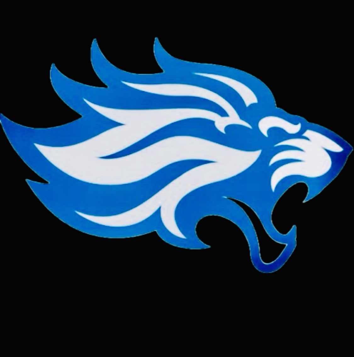 Community Christian College Football tweet media