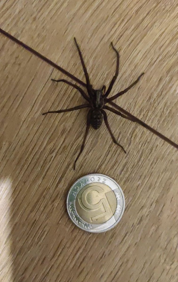 MindVoyager tweet media