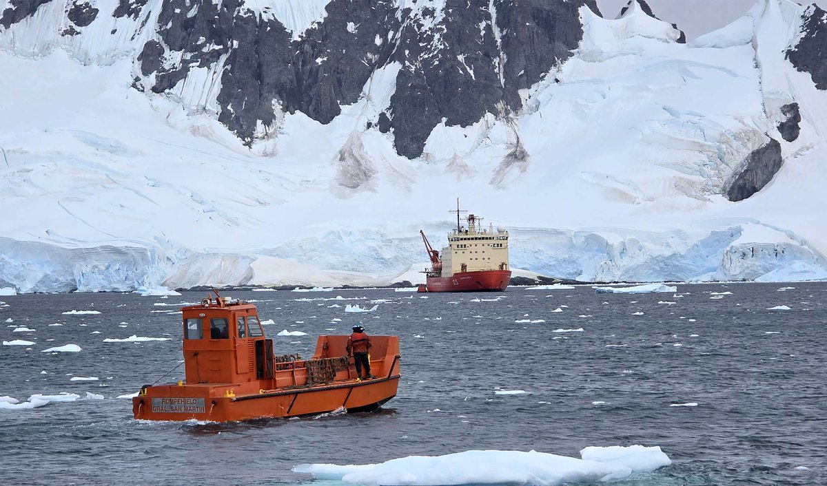 Argendef tweet media