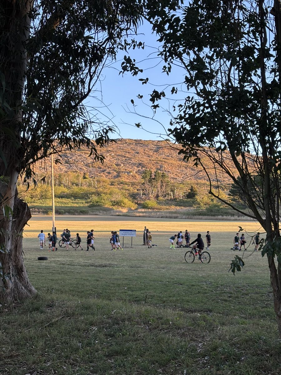 Javier Rojas Panelo tweet media