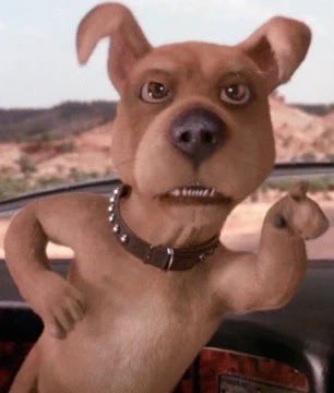 edu0km's tweet photo. @_lmarcos @UniversoDCnauta O ator do Scooby-Loo do live action, ele já deve ter crescido https://t.co/MAdXu2Pxmx