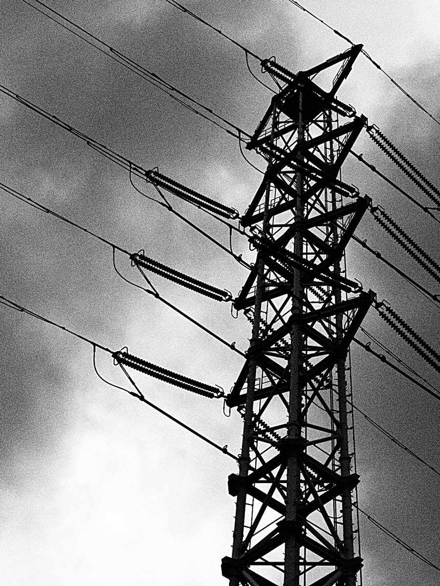 チバマル tweet media