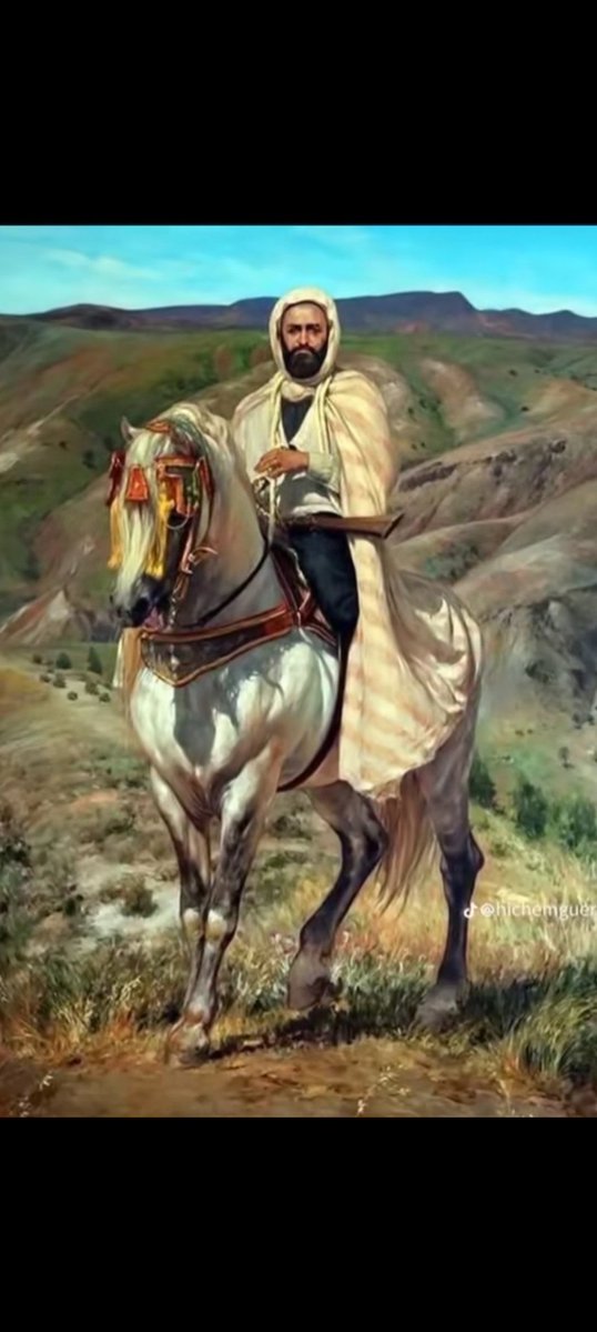 ziyad BBA tweet media