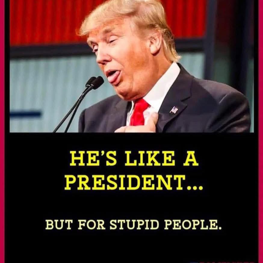 Pam Brownose. tweet media