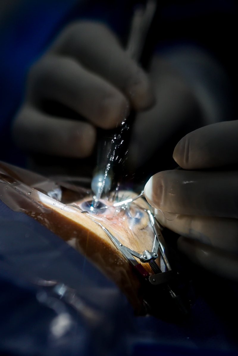 Martí Batres tweet media