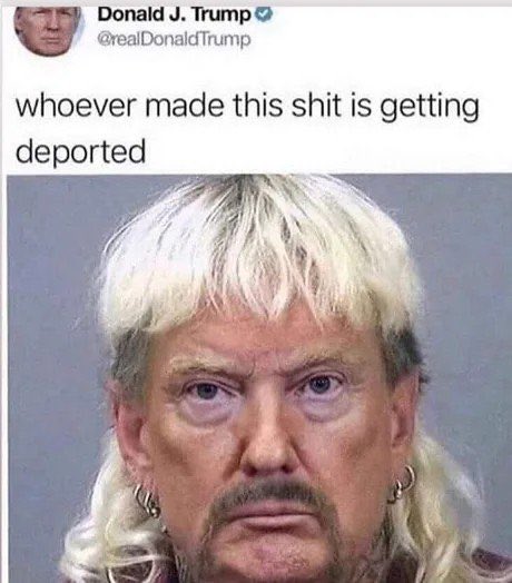 Monkeyjunk11 tweet media