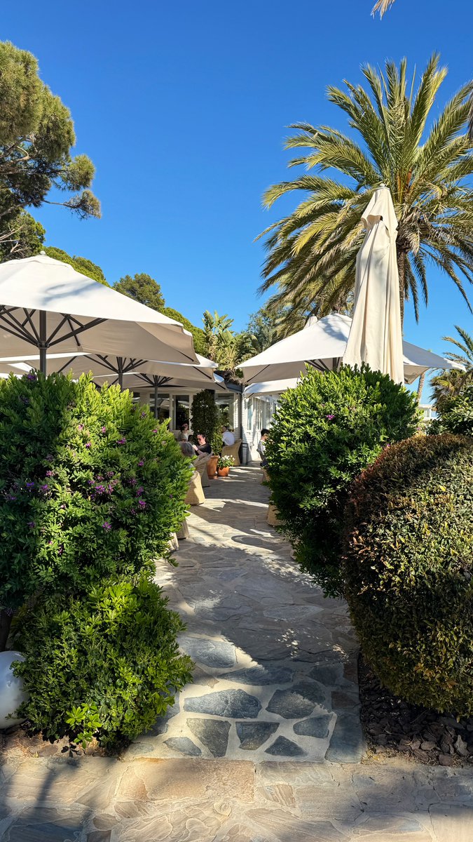 Rob Lipsett tweet media