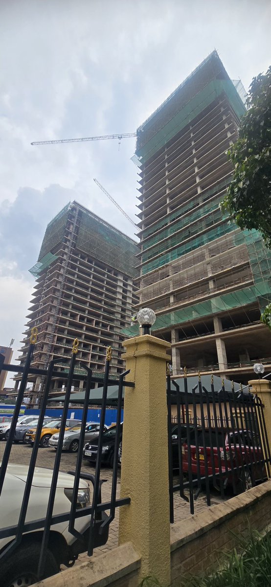 ๐
๐ข๐ฌ๐ญ๐จ๐ง ๐๐๐ก๐๐ฆ๐๐ ๐๐ ๐๐ข๐จ๐ง๐๐ข tweet media