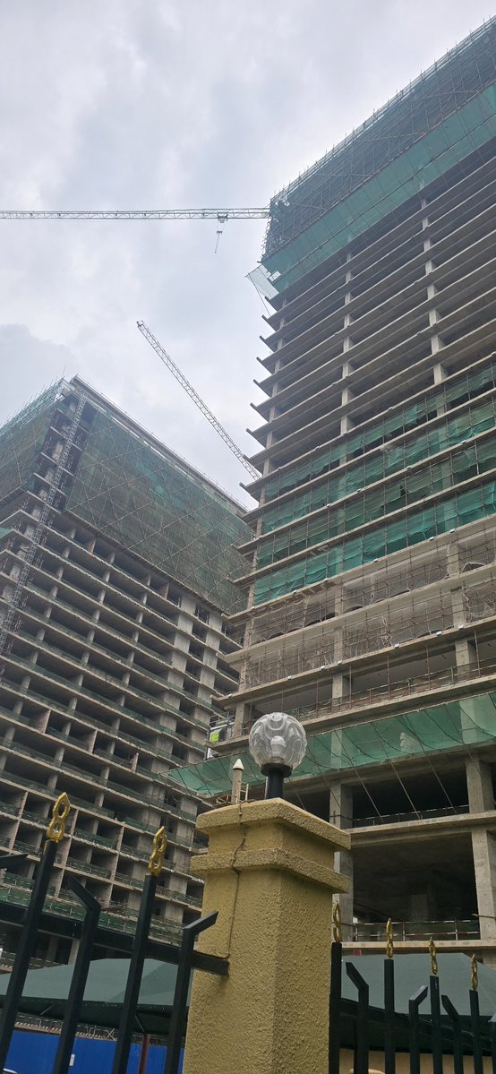 ๐
๐ข๐ฌ๐ญ๐จ๐ง ๐๐๐ก๐๐ฆ๐๐ ๐๐ ๐๐ข๐จ๐ง๐๐ข tweet media