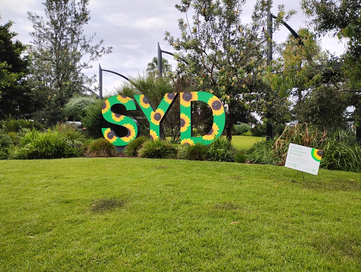 Weduh 🦋 tweet media