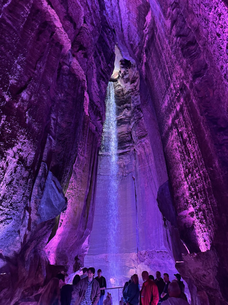 Adam Scheier tweet media