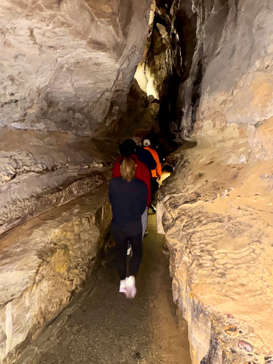 Adam Scheier tweet media