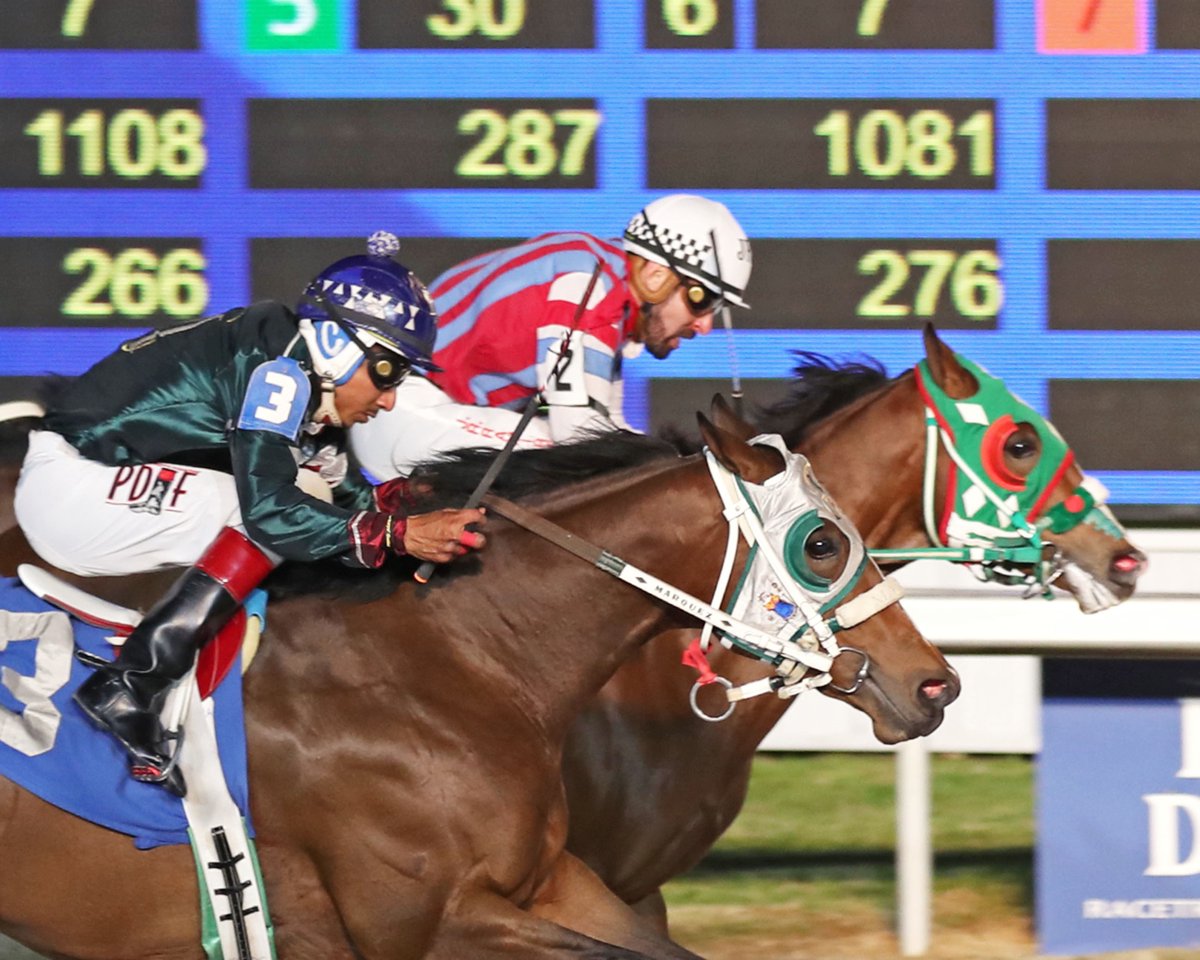 Delta Downs Racing tweet media