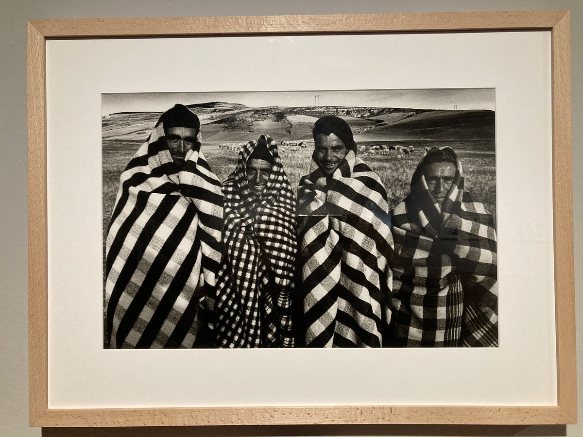 Alfonso Paredes tweet media