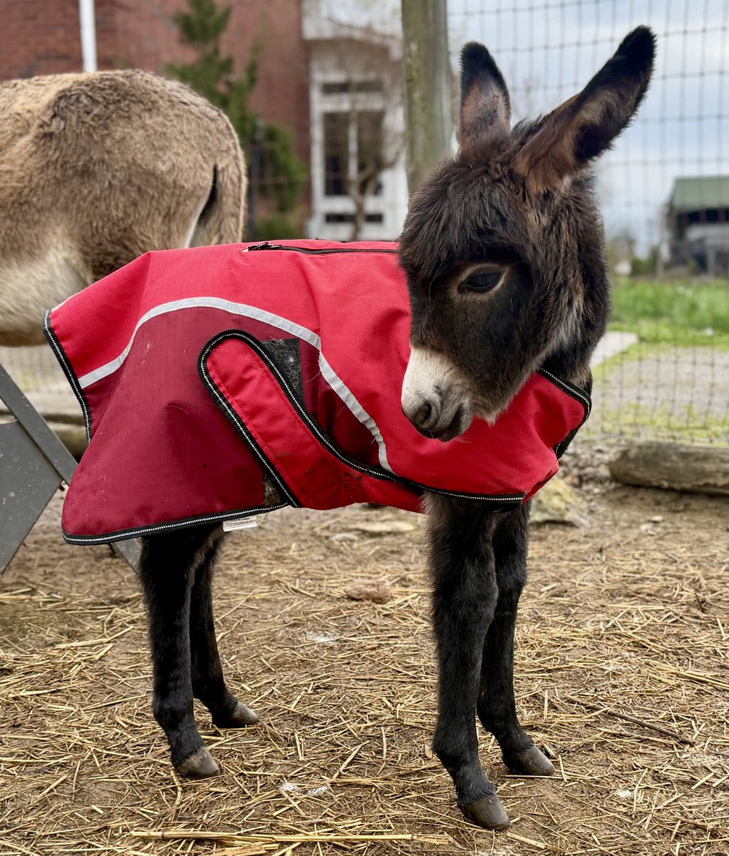 Courtney tweet media