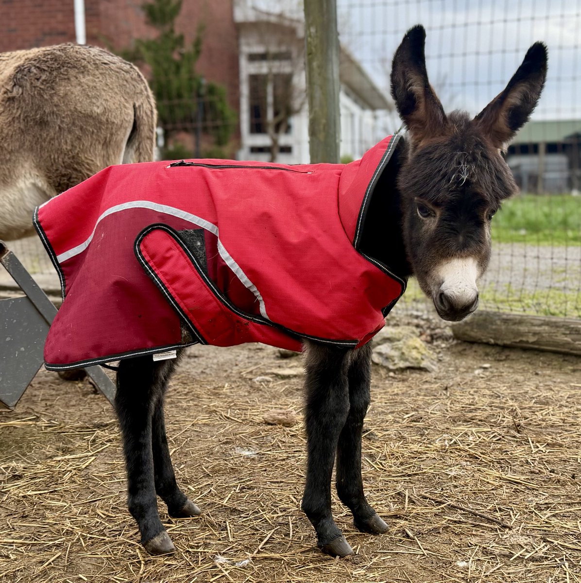 Courtney tweet media