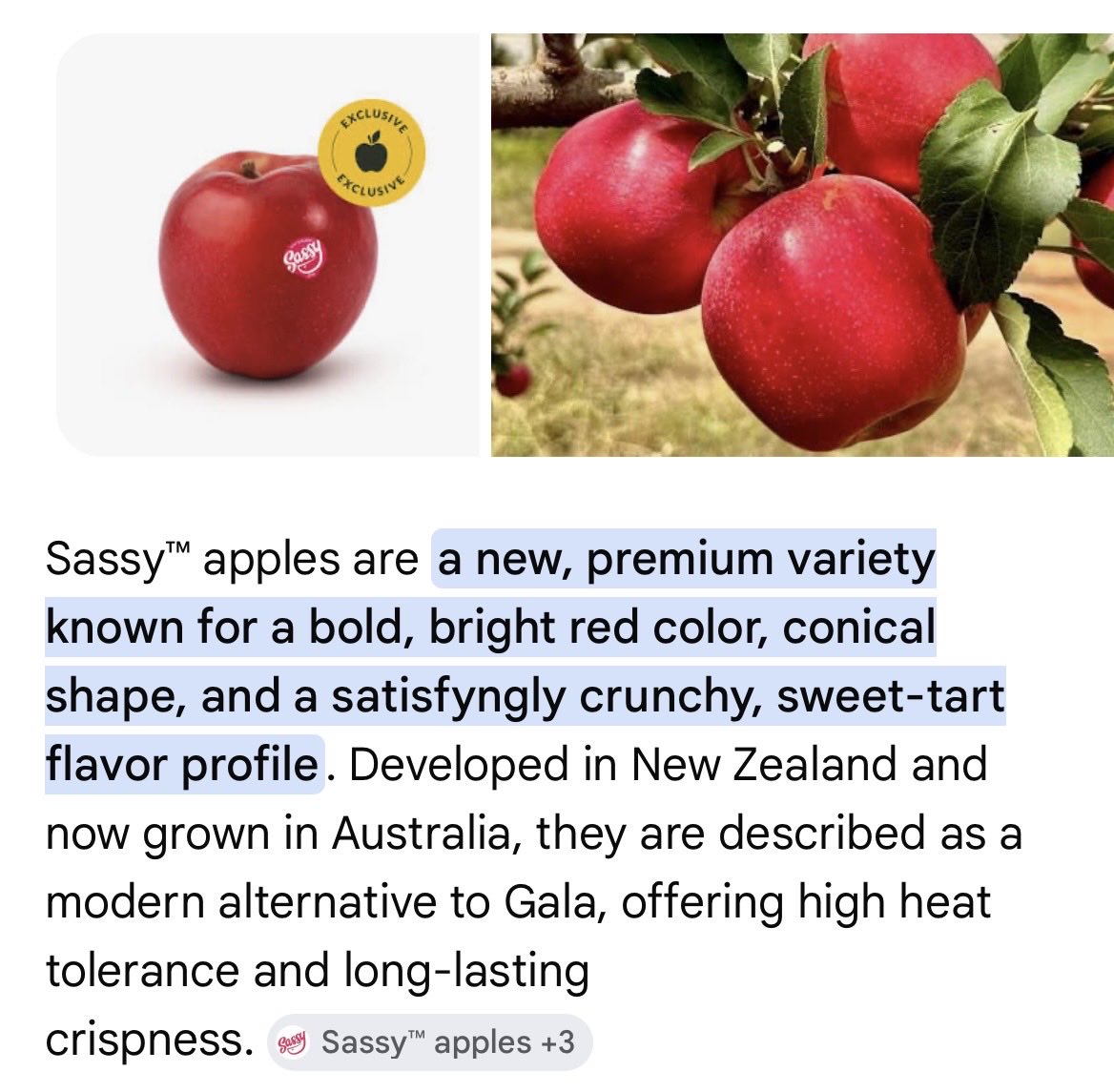 Ian Davis (Bluesky @profiand) tweet media