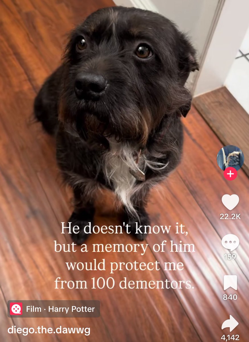 Anna 🐝🔴⚽️ tweet media