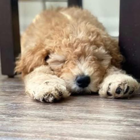 Ray Cartwright tweet media