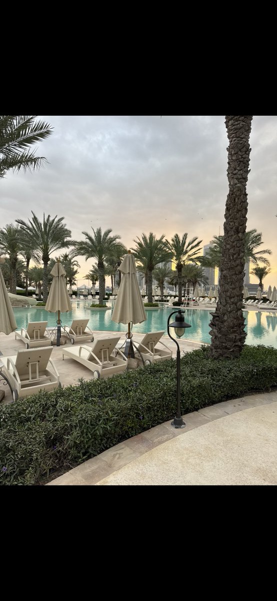 Robin ® tweet media