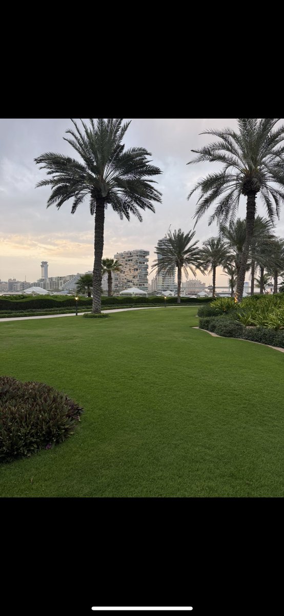 Robin ® tweet media