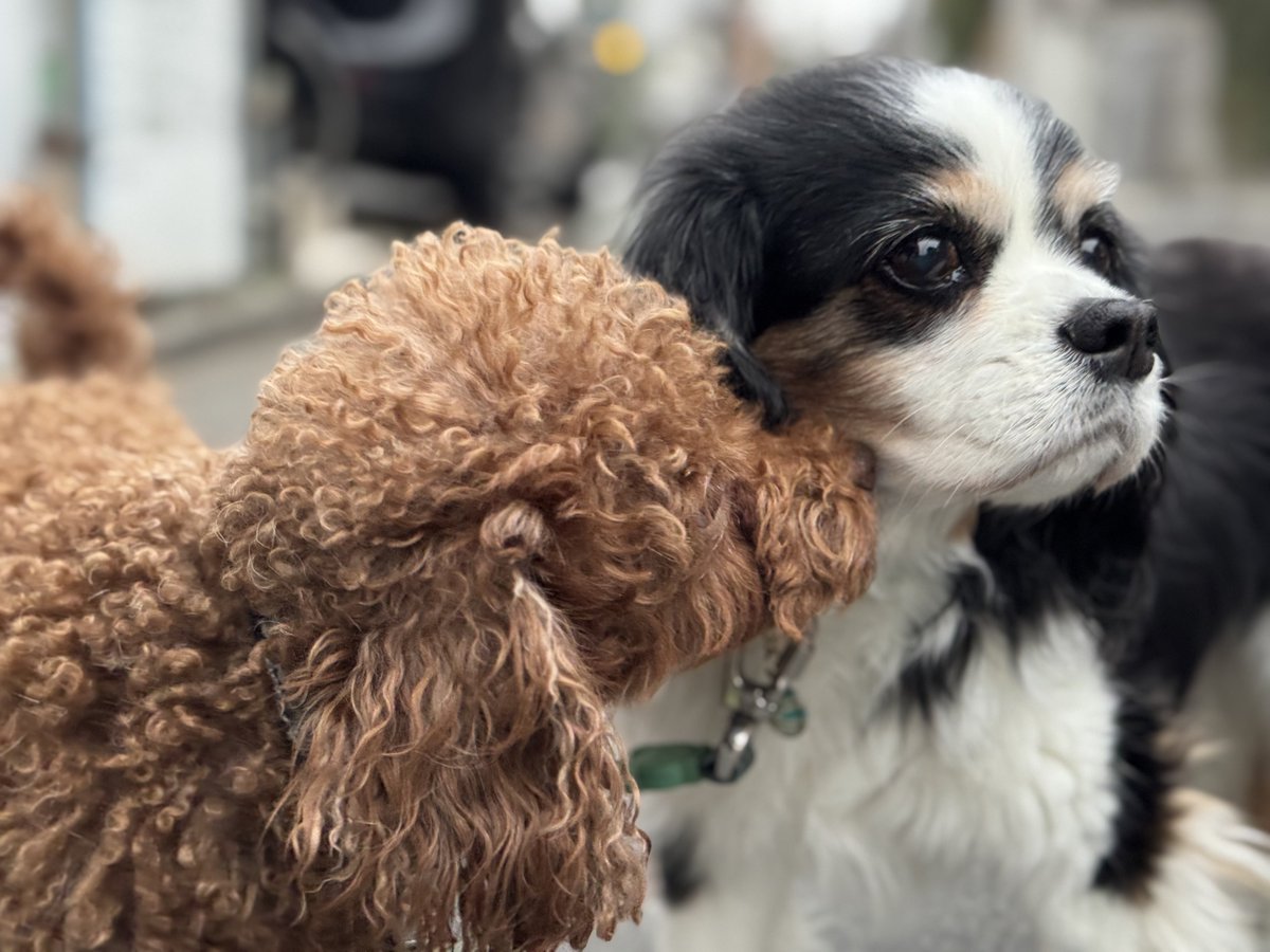 門田充宏 / Mitsuhiro Monden tweet media