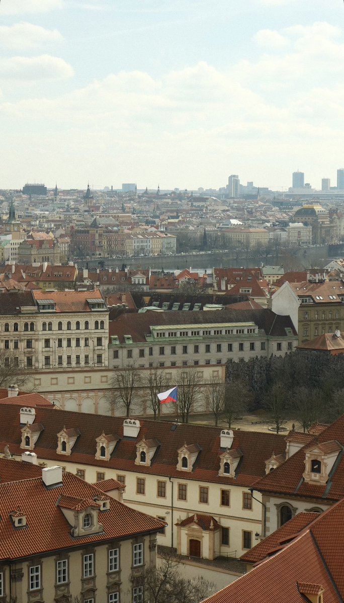 ‎‏ً tweet media