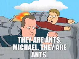 Perry Solem tweet media